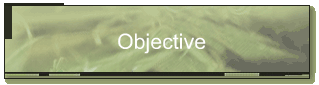 Objective
